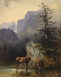 Deer and Animal at the Watering Place